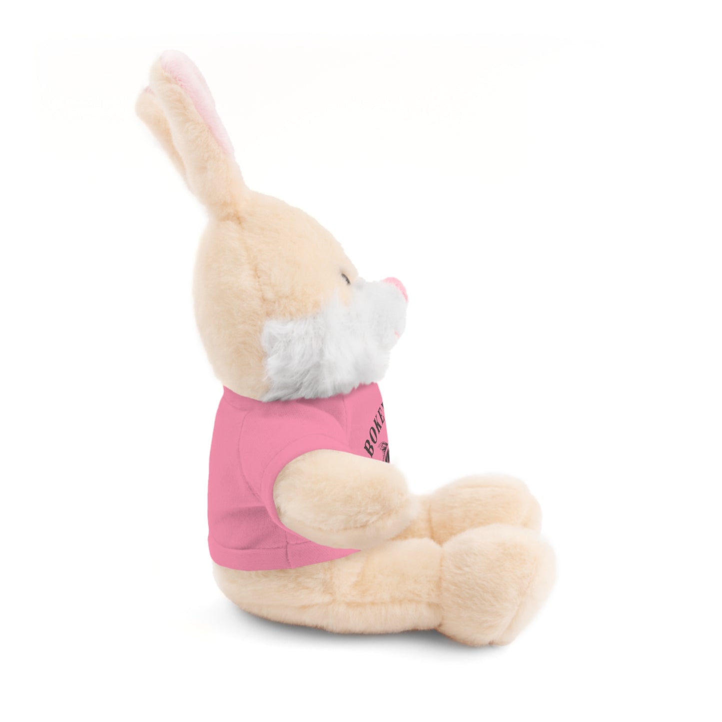 BokeyCat Stuffed Animals w Tee Shirt