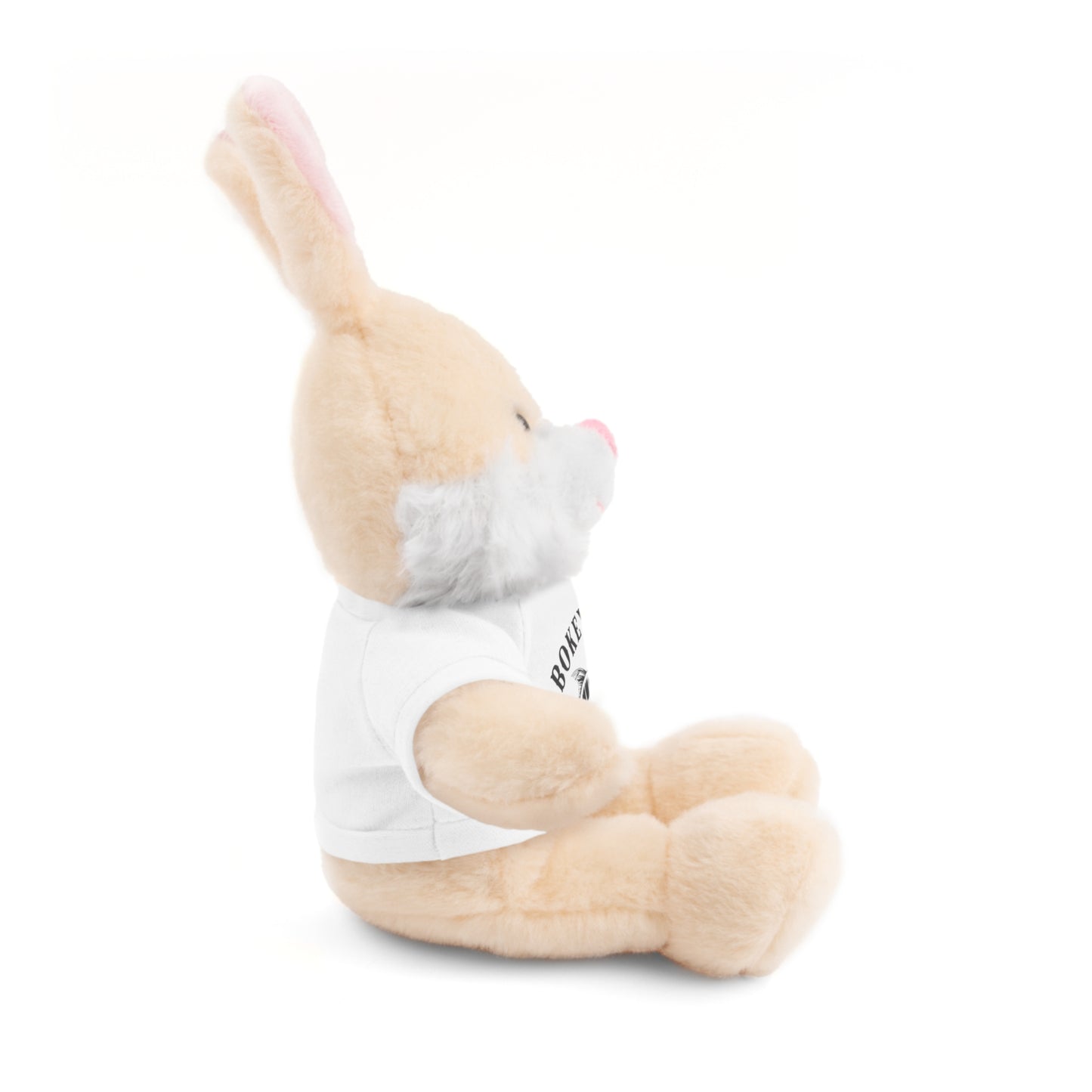 BokeyCat Stuffed Animals w Tee Shirt