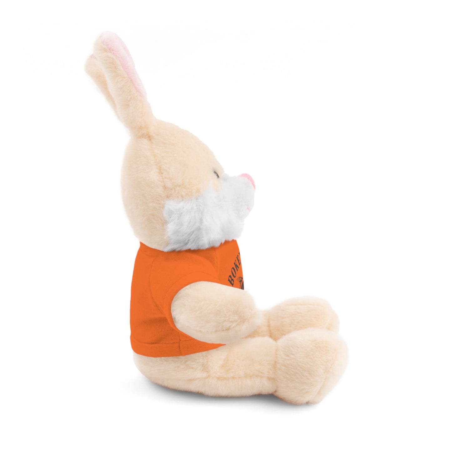 BokeyCat Stuffed Animals w Tee Shirt