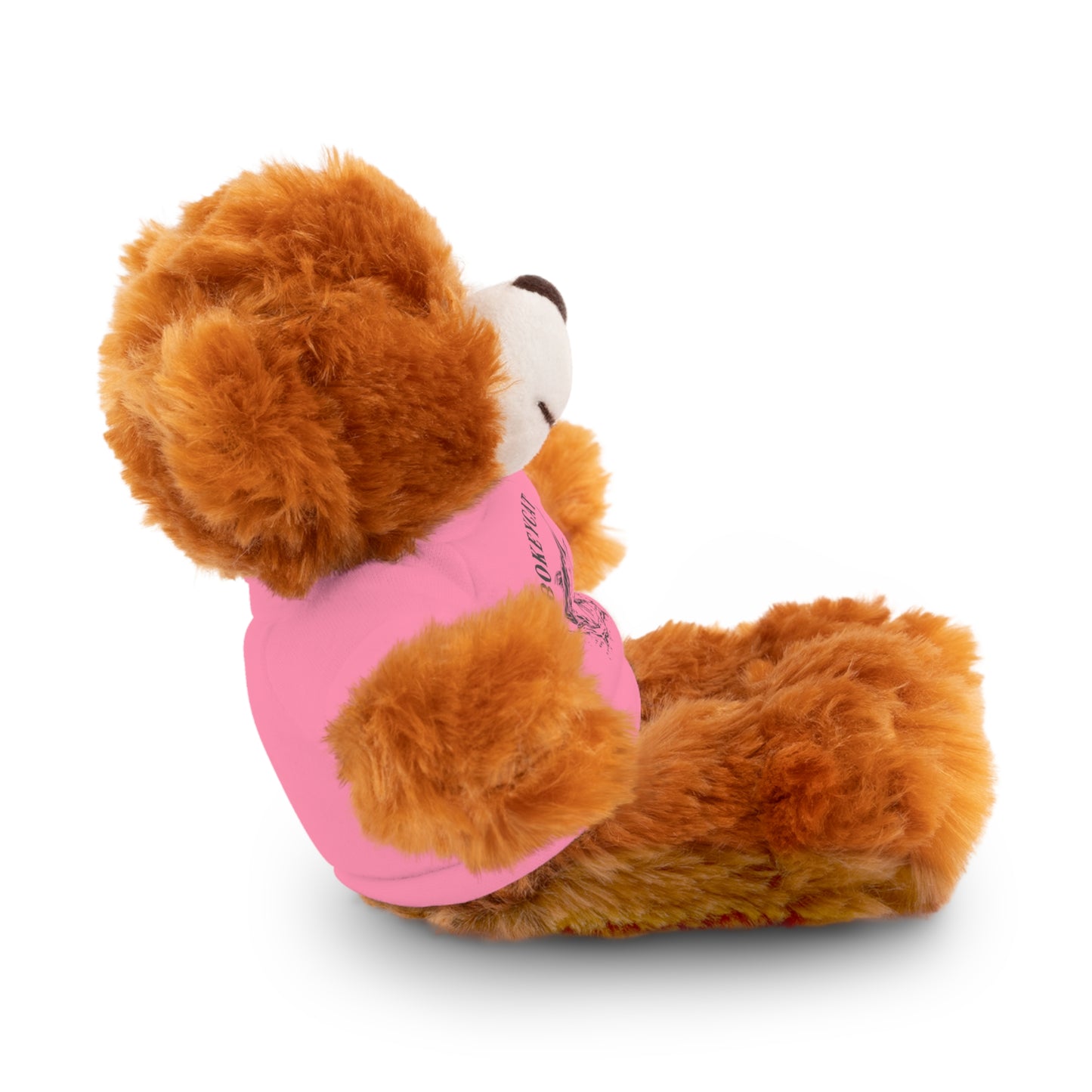 BokeyCat Stuffed Animals w Tee Shirt