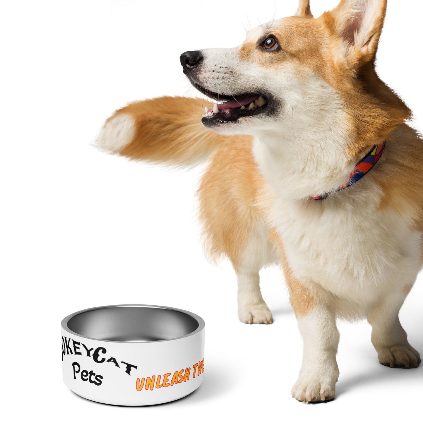 BokeyCat Pet bowl