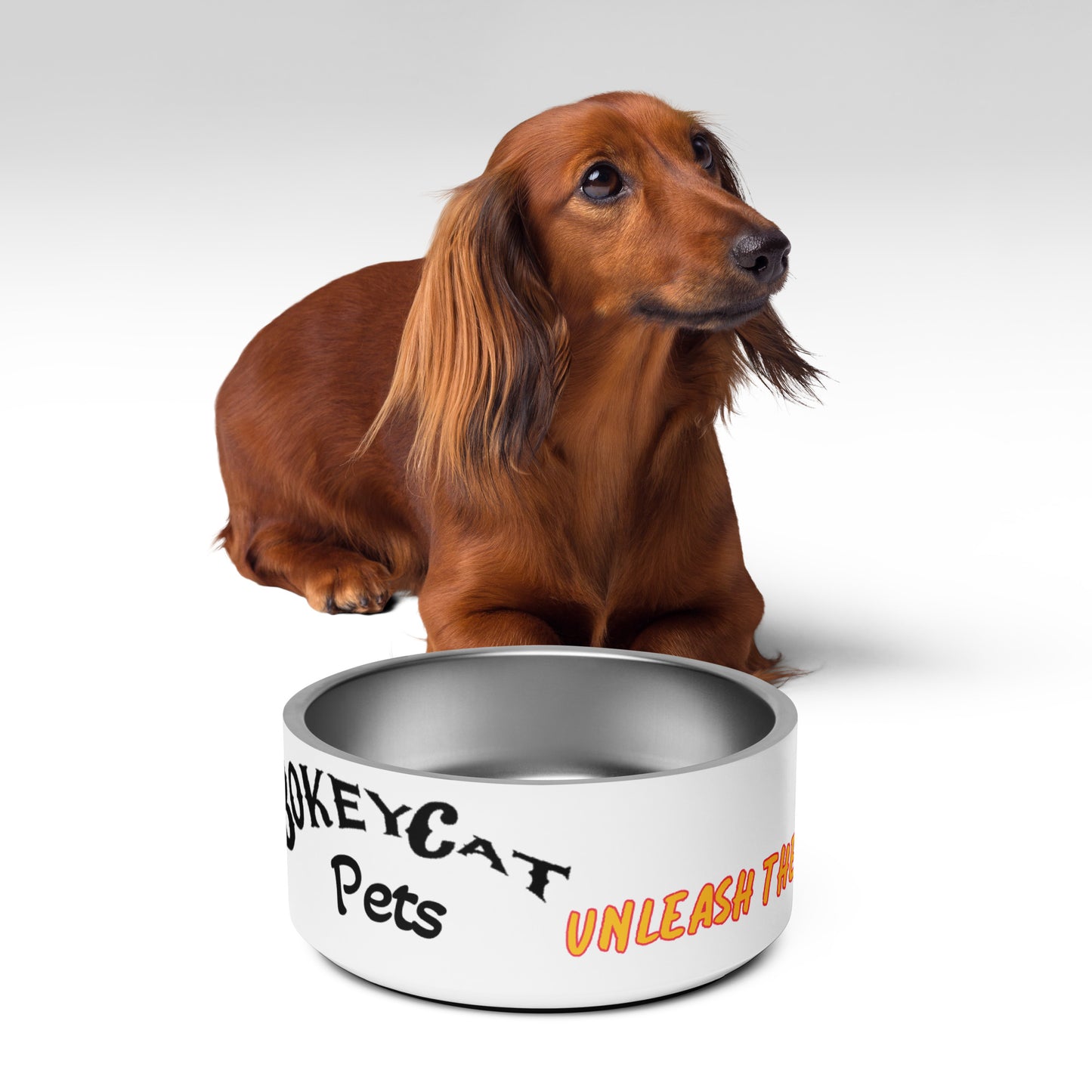 BokeyCat Pet bowl
