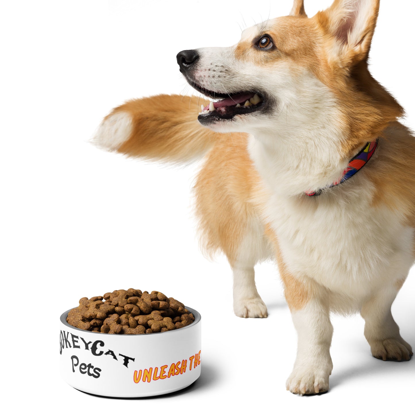BokeyCat Pet bowl
