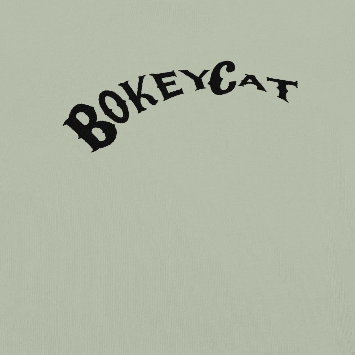 BokeyCat garment-dyed heavyweight t-shirt
