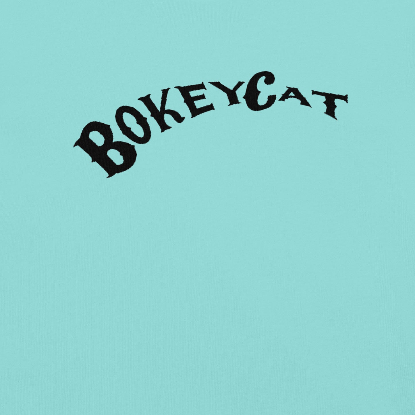 BokeyCat garment-dyed heavyweight t-shirt