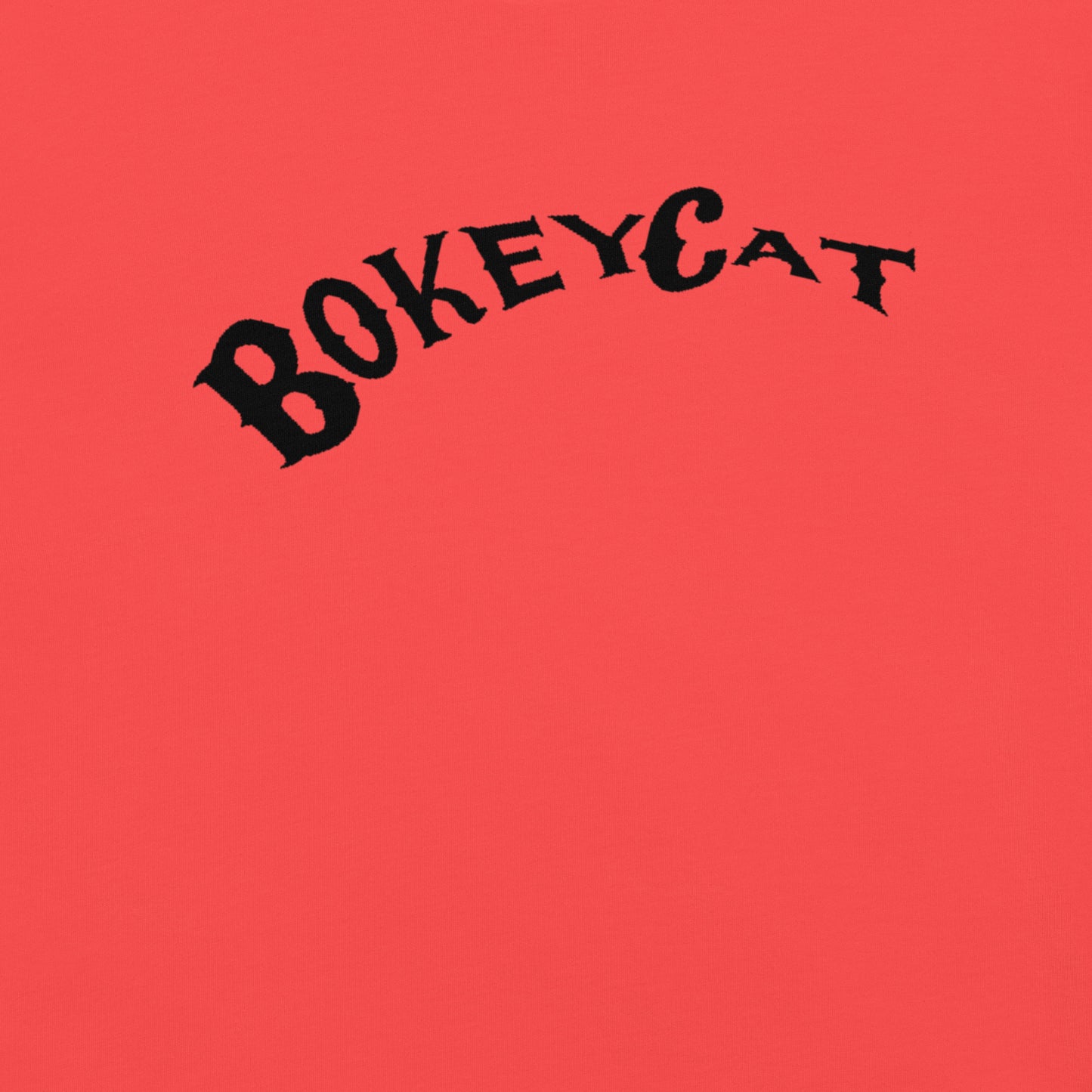 BokeyCat garment-dyed heavyweight t-shirt