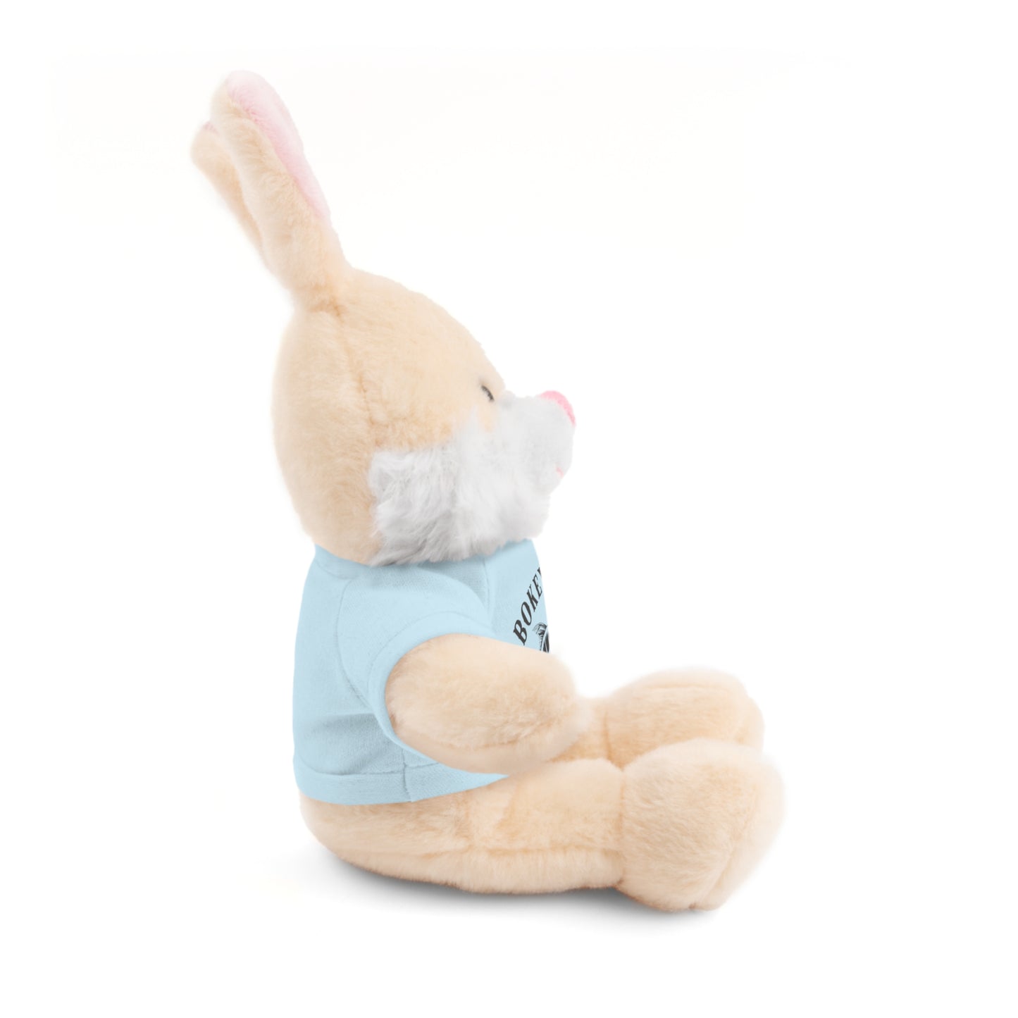 BokeyCat Stuffed Animals w Tee Shirt