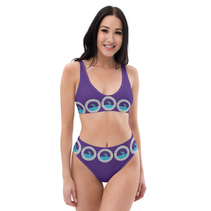 BokeyCat Bokini  high-waisted bikini