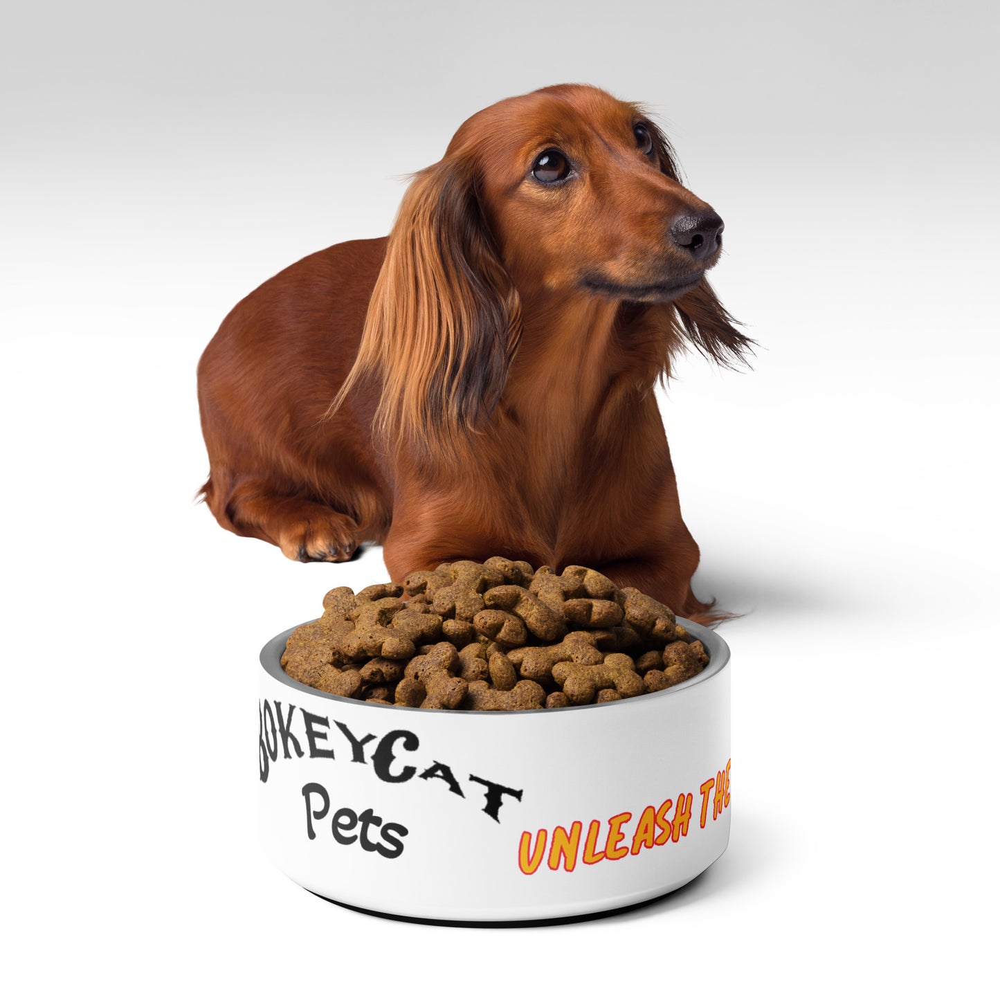 BokeyCat Pet bowl