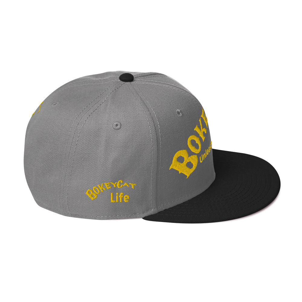 BokeyCat Snapback Hat