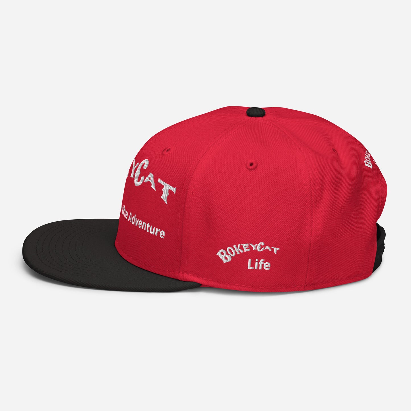 BokeyCat Snapback Hat